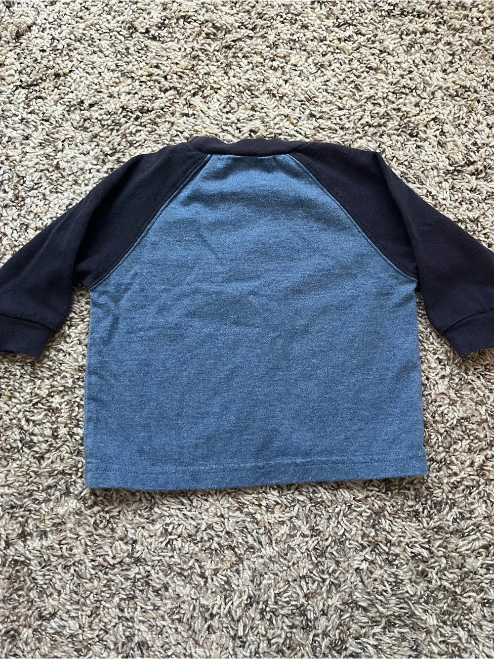 Gymboree Boys' Blue & Black Long-Sleeve Shirt - Grizzly Woodlands Graphic